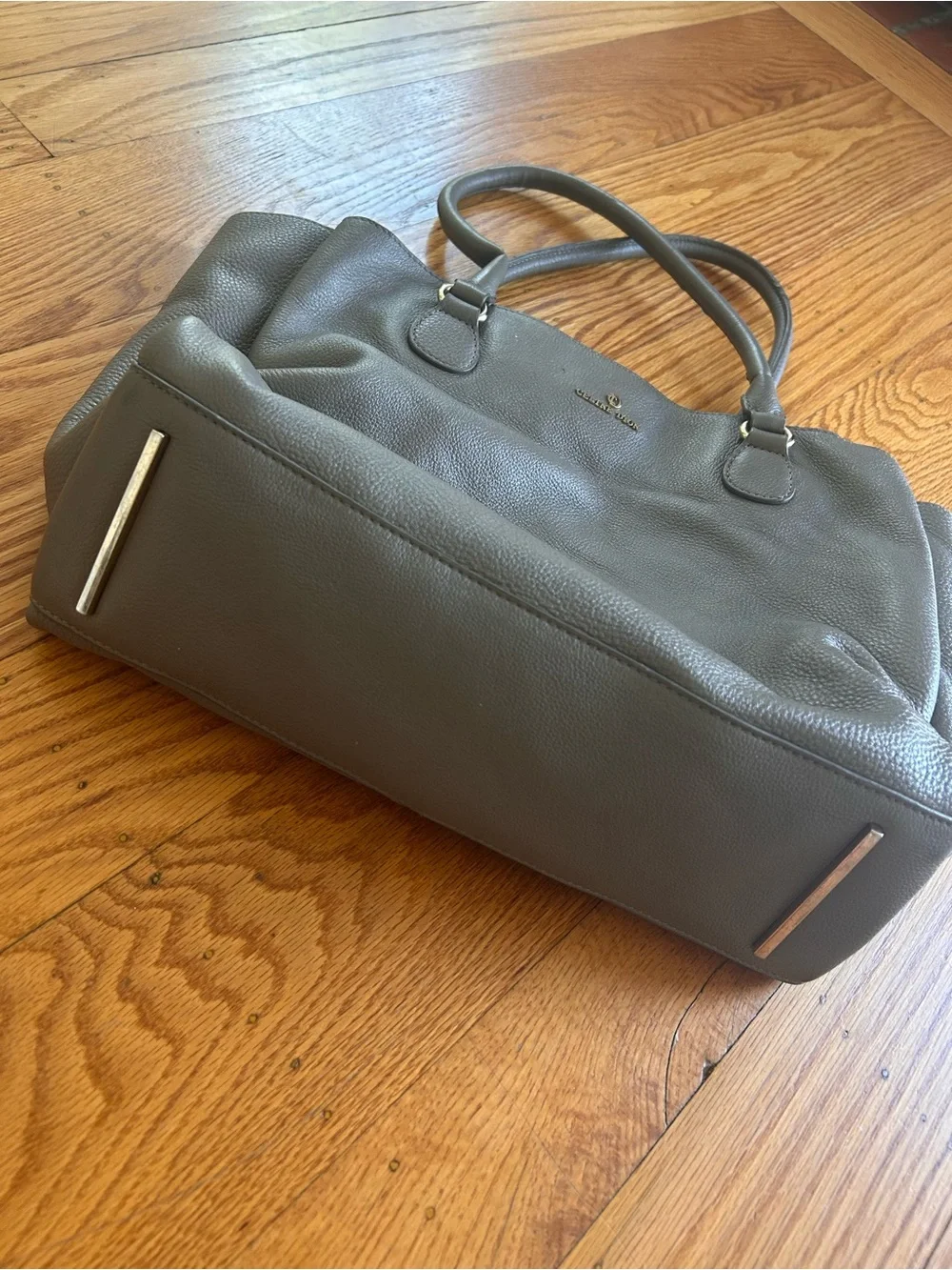Celine Dion this handbag